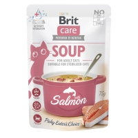      Brit Care Soup with Salmon   75