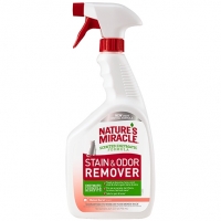        NM Stain an Odor Remover Melon    946