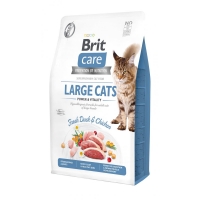       Brit Care Cat GF Large cats Power and Vitality   2