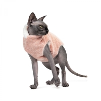    Pet Fashion CAT   XS